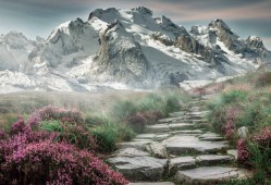 天使猫会飞吗？有没有天使猫？