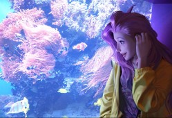 109带80套装还是属性装